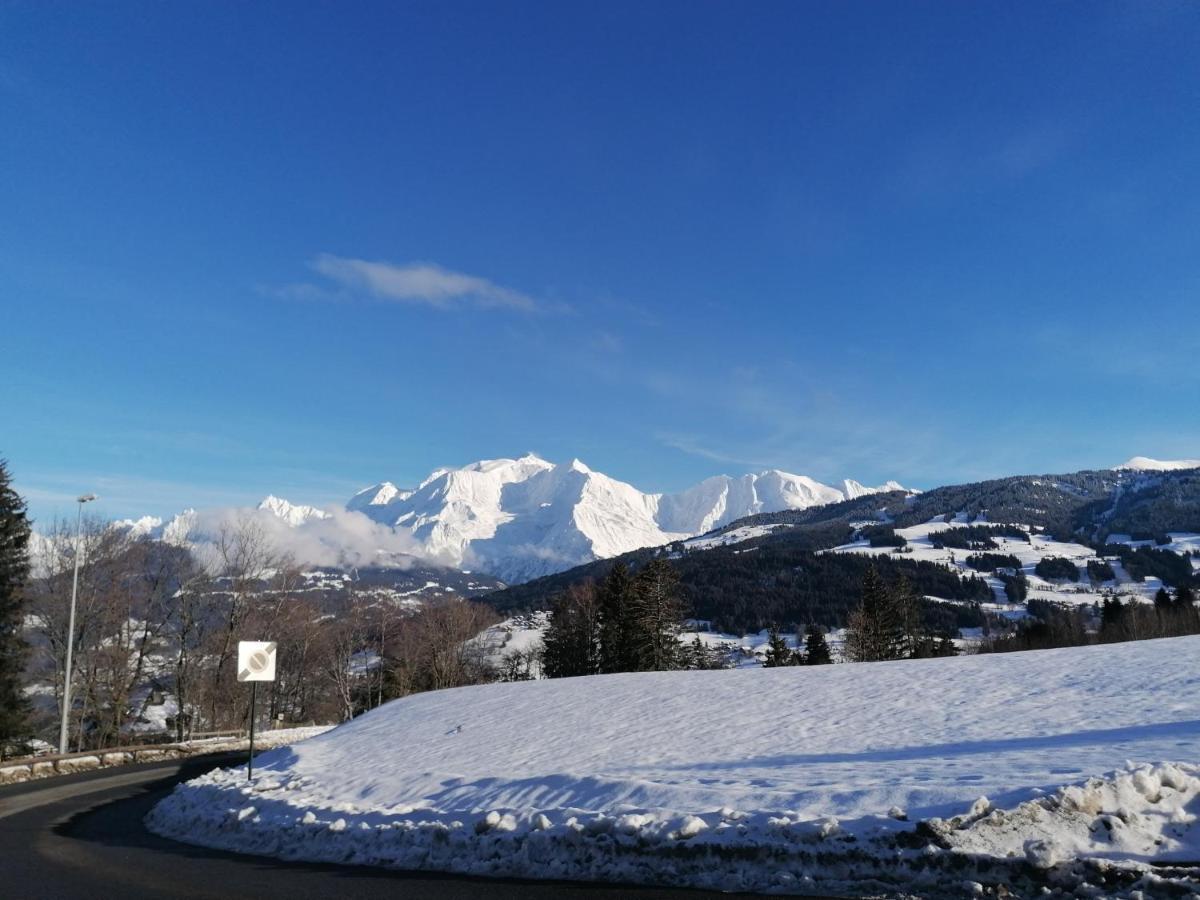 Chalet Mont-Blanc Combloux Bagian luar foto
